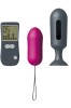 Remote Expert Control Egg und Plug