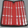 Dittel Dilatoren Set