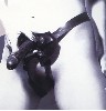 Gummi Dildo Harness