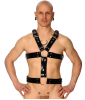 Latex Harness