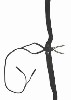 Magic Trode Lady
