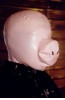 Piggy Latex Atemreduktionsmaske