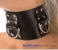 Leder Halsband mit D-Ringen