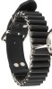 Leder Sklavenhalsband