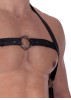 Black Harness Detail