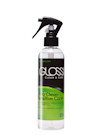Latex Schnellreiniger in Sprayflasche BeGloss Begloss-Clean-Care