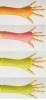 Neon Fishnet Armstulpen