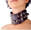 Leder Halsband
