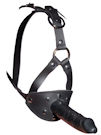 headharness-tn.jpg