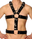 Hermes Harness