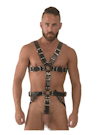 Harness mit Cockring